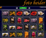 Online Memo-Spiel Professional Edition "foto heider" (Alle Fotoserien)